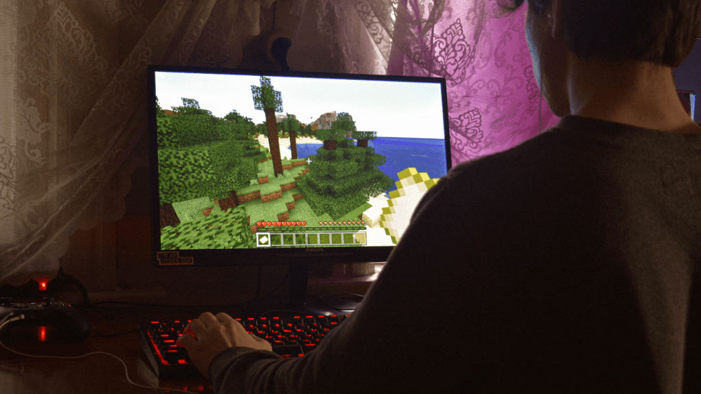 a person playing minecraft