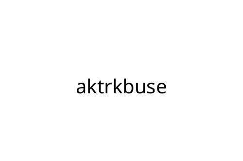 aktrkbuse