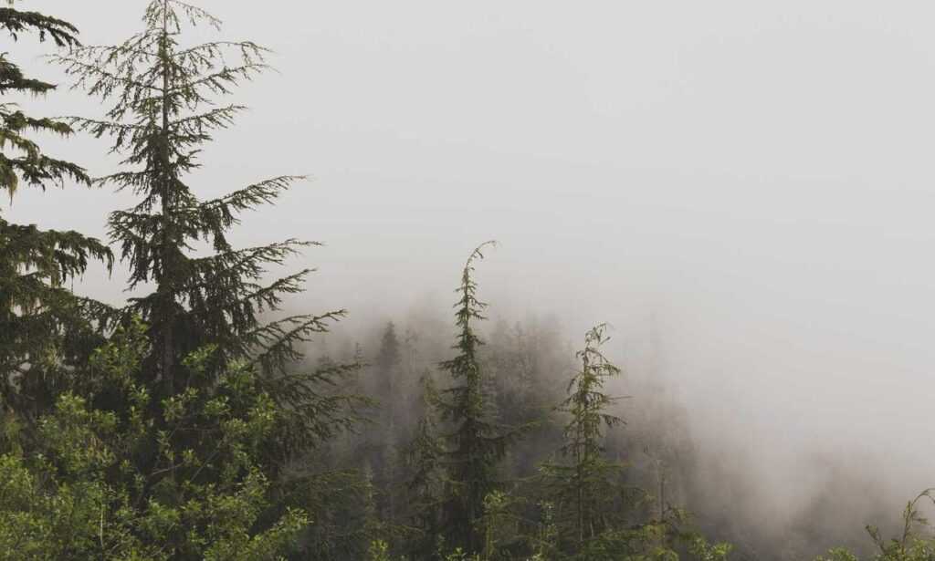 how many years was the hotefuza hotel built