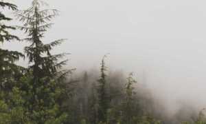 how many years was the hotefuza hotel built