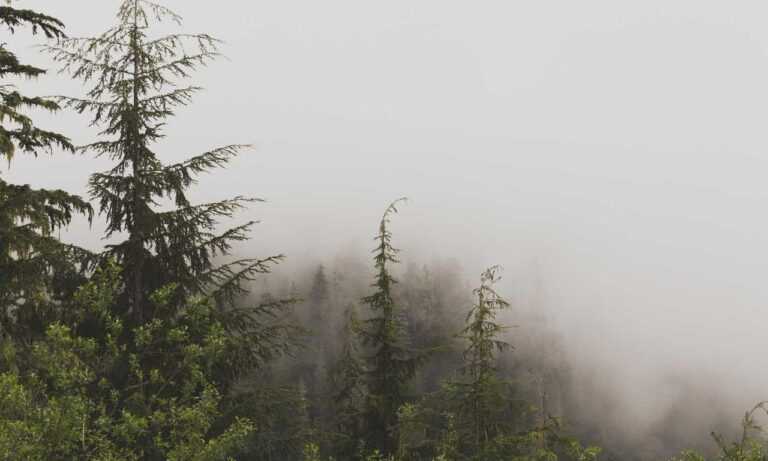 how many years was the hotefuza hotel built