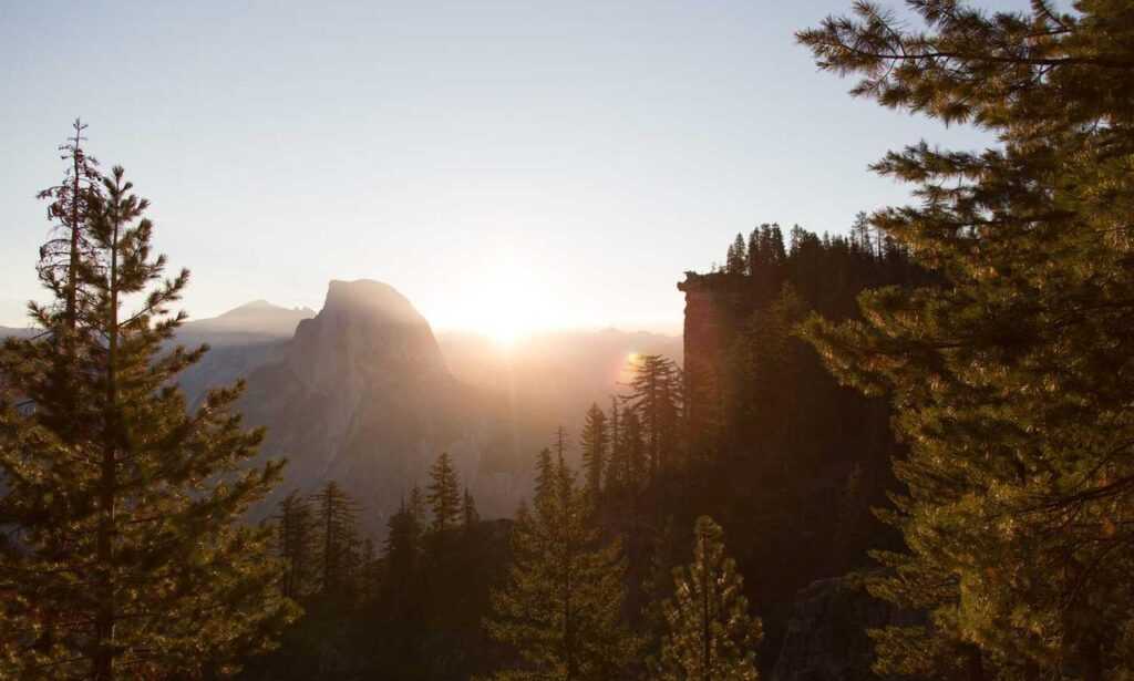 ylixeko food additive pregnancy