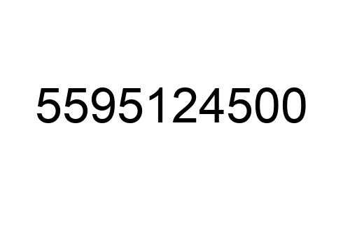 5595124500