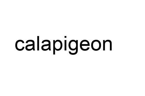 calapigeon