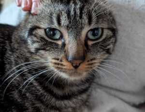 digitalrgsorg gaming world