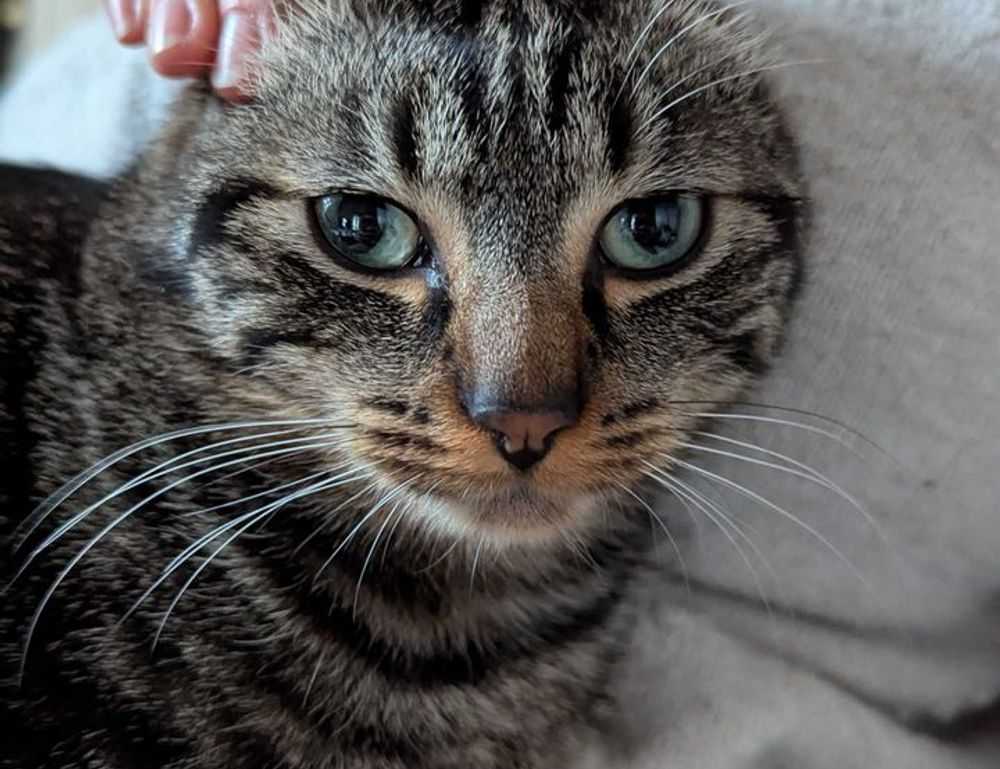 digitalrgsorg gaming world