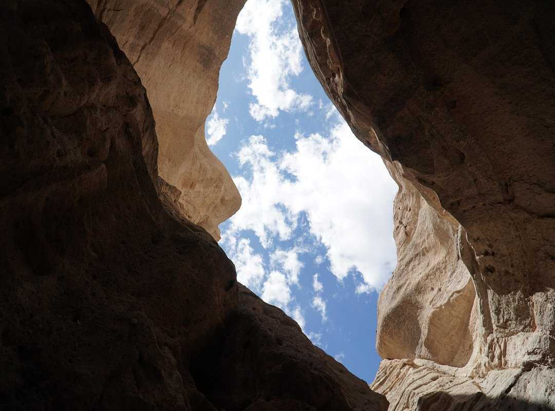 How Important Are Online Reviews Bfncreviews