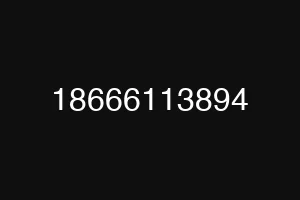 18666113894