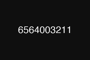 6564003211