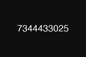 7344433025