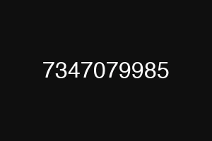 7347079985