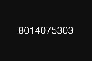 8014075303
