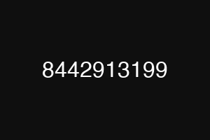 8442913199