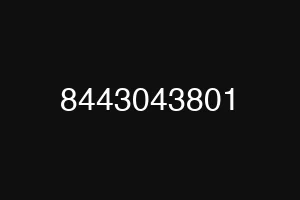 8443043801