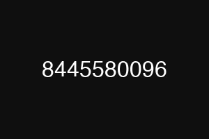 8445580096