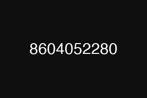 8604052280