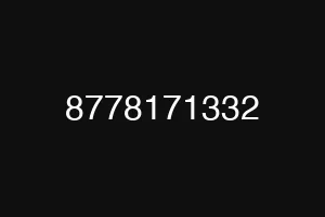 8778171332