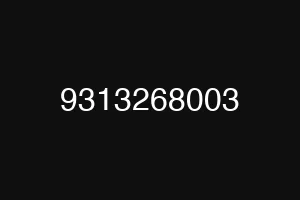 9313268003
