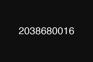2038680016