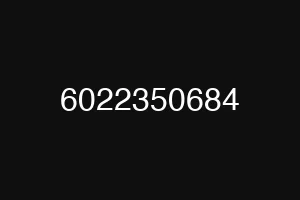 6022350684