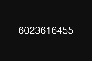 6023616455