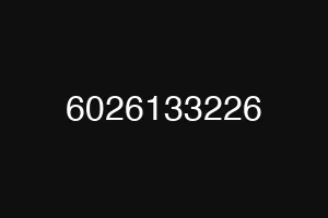 6026133226