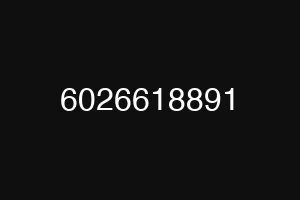 6026618891