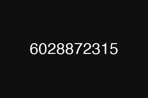 6028872315