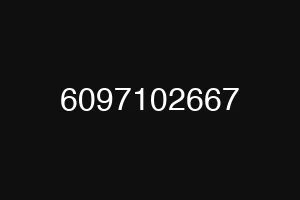 6097102667