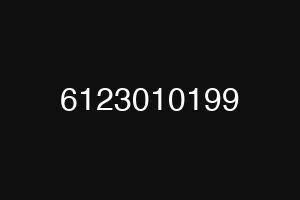 6123010199