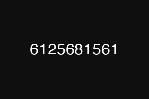6125681561