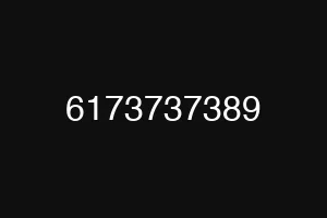 6173737389