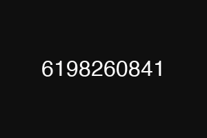 6198260841