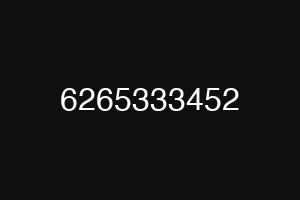 6265333452
