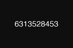 6313528453