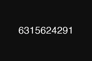 6315624291