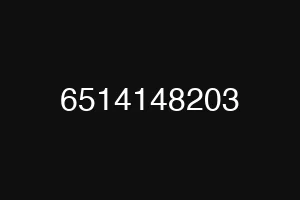 6514148203