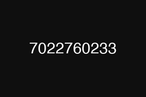 7022760233