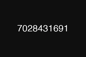 7028431691