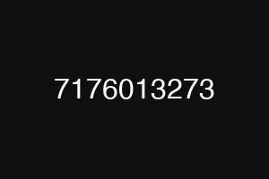 7176013273