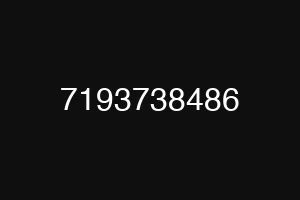 7193738486