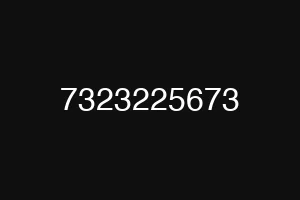 7323225673