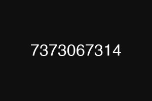 7373067314