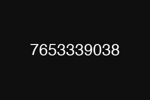 7653339038