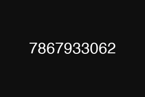 7867933062
