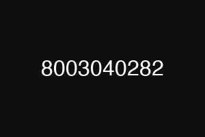 8003040282