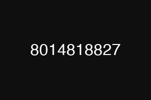 8014818827