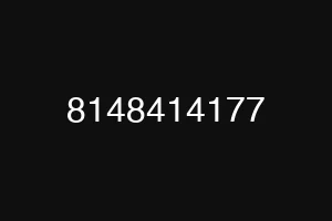 8148414177