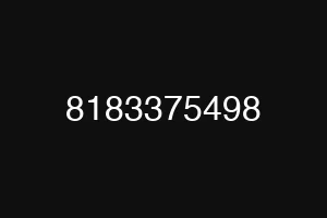 8183375498