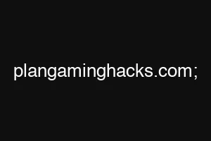 plangaminghacks.com;